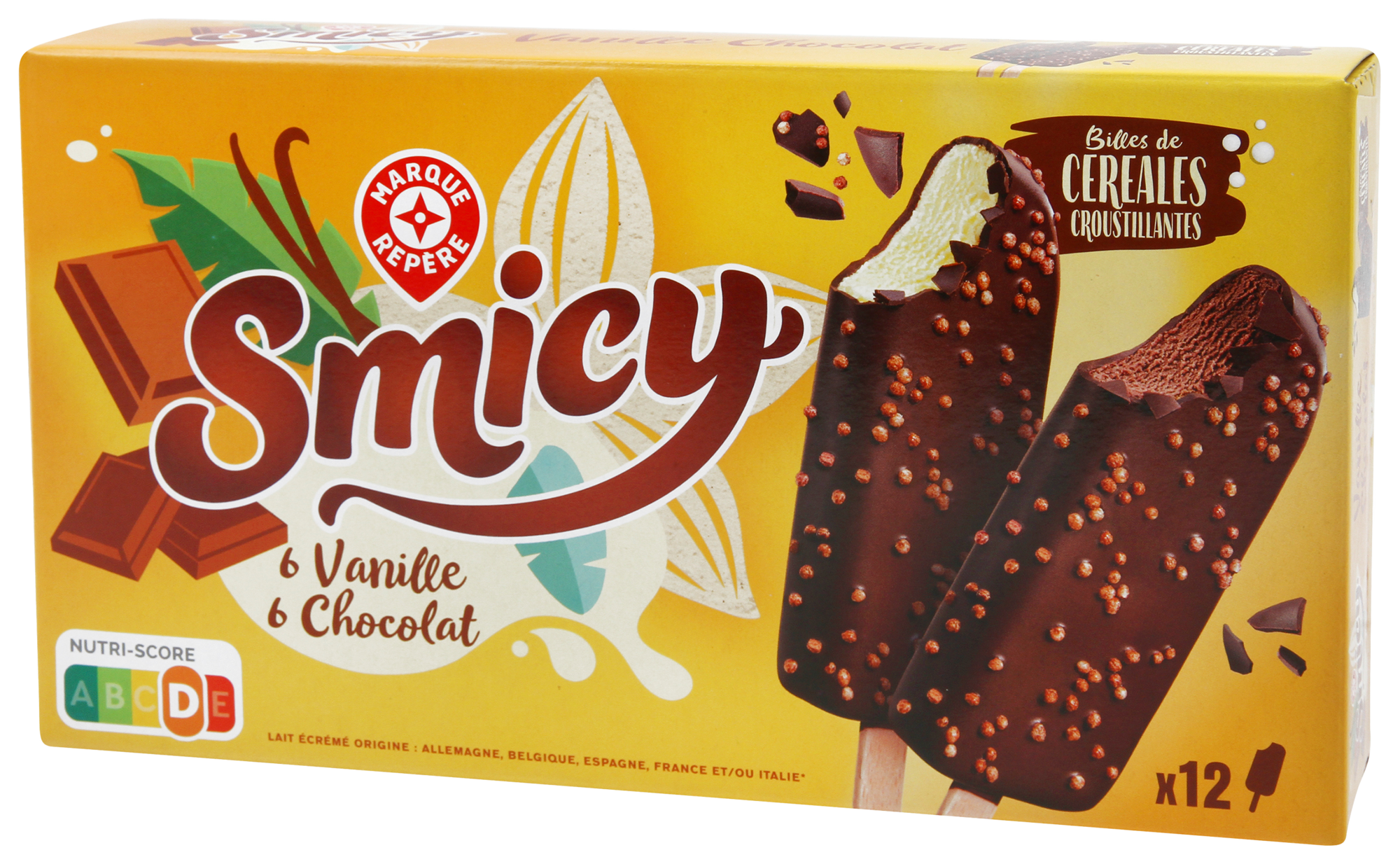 12 BÂTONNETS DE GLACE VANILLE CHOCOLAT