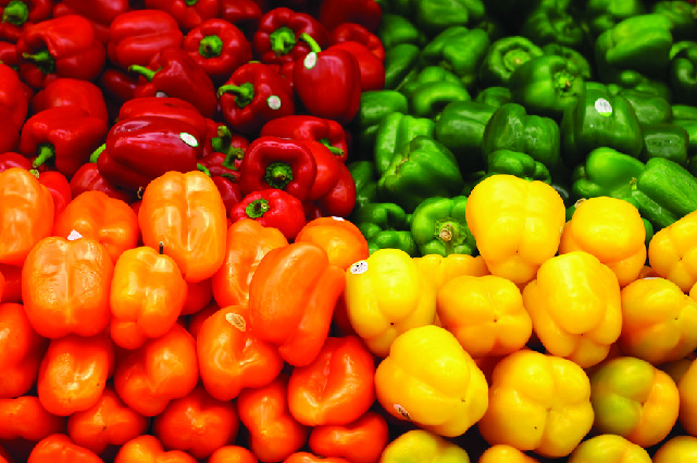 POIVRON TRICOLORE