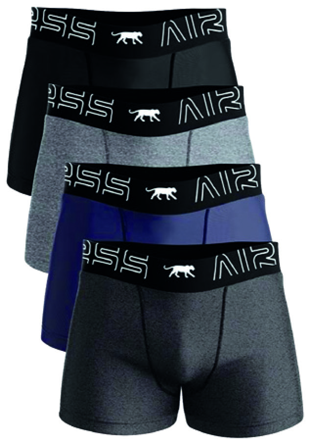 LOT DE 4 BOXERS HOMME AIRNESS