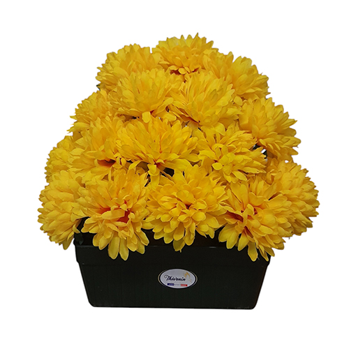 JARDINIERE CHRYSANTHEME 16 TETES