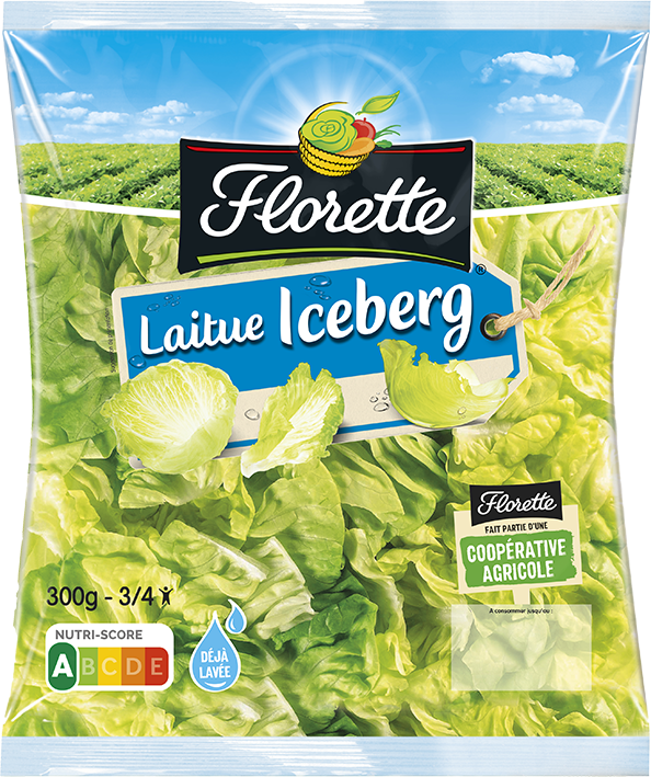 LAITUE ICEBERG