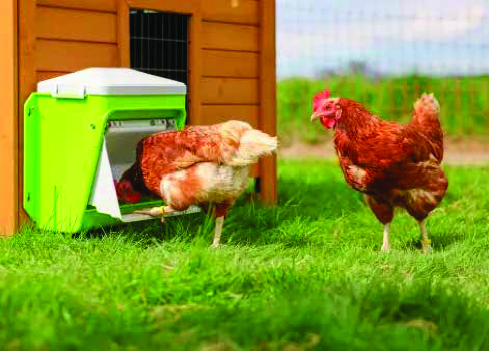 NOURRISSEUR AUTOMATIQUE