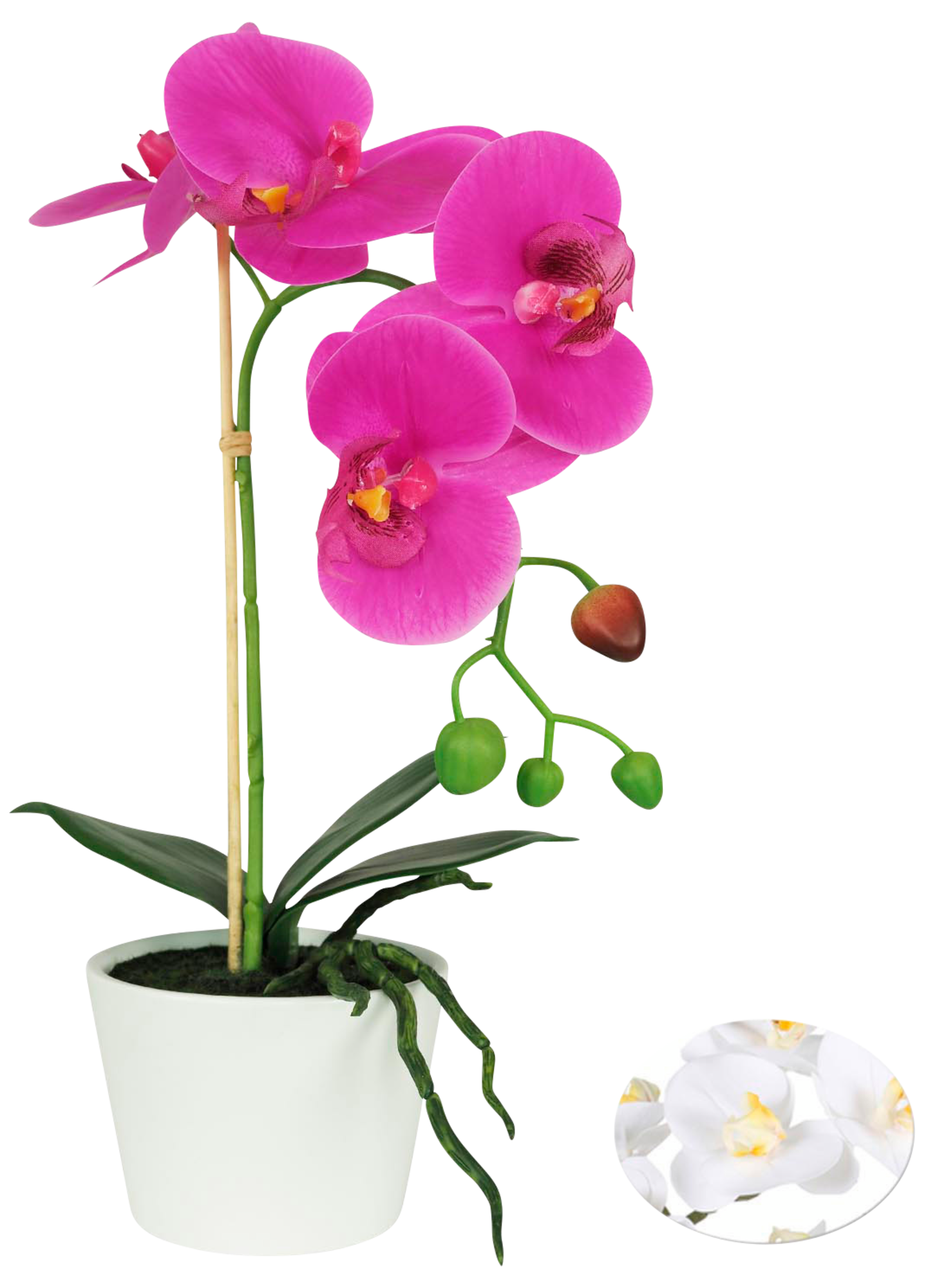 ORCHIDÉE 1 BRANCHE 4 FLEURS "TOUCHER NATUREL"