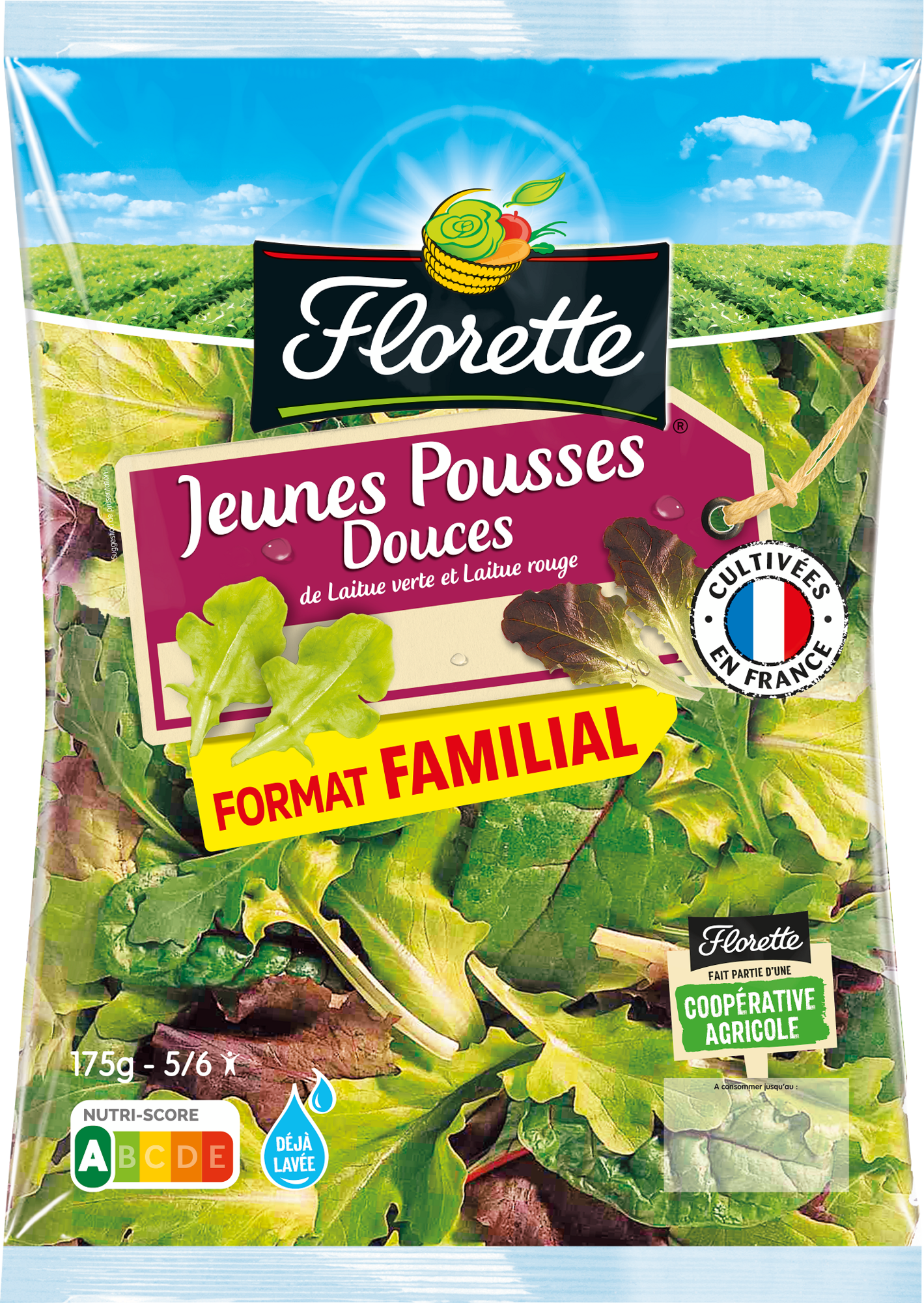 Jeunes pousses douces format familial