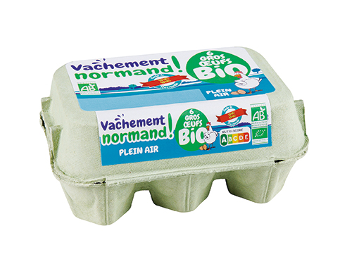 6 ŒUFS PLEIN AIR BIO