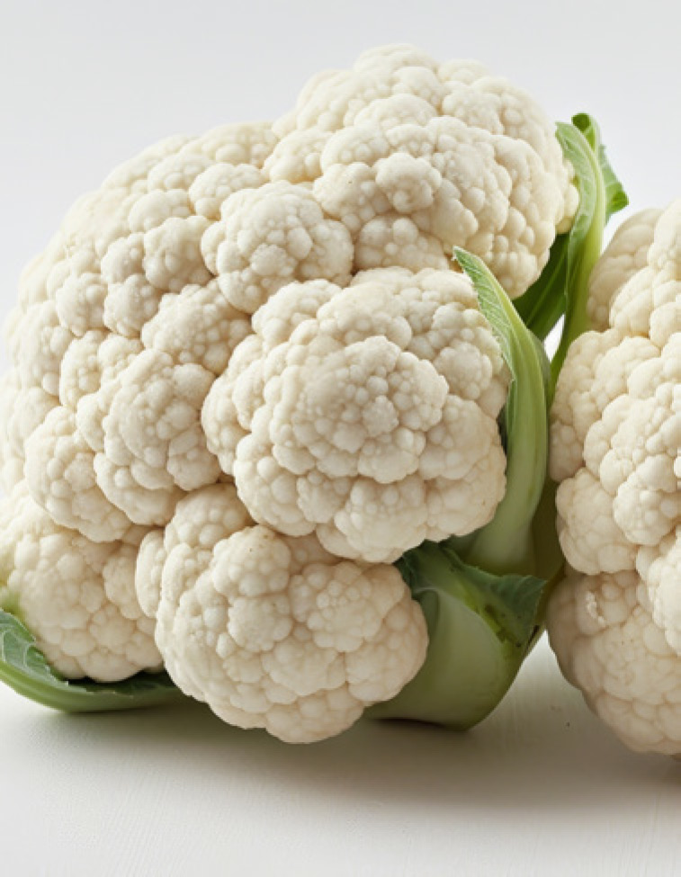 LOT DE CHOUX FLEUR X2
