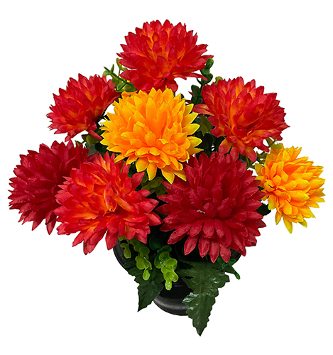 Pot MIRO
(pompons chrysanthèmes)