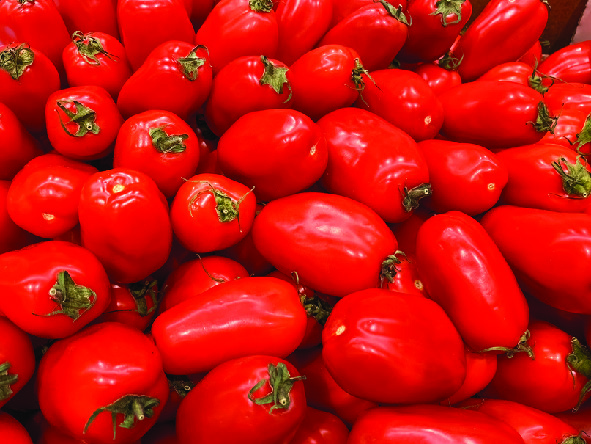 TOMATE CERISE ALLONGÉE