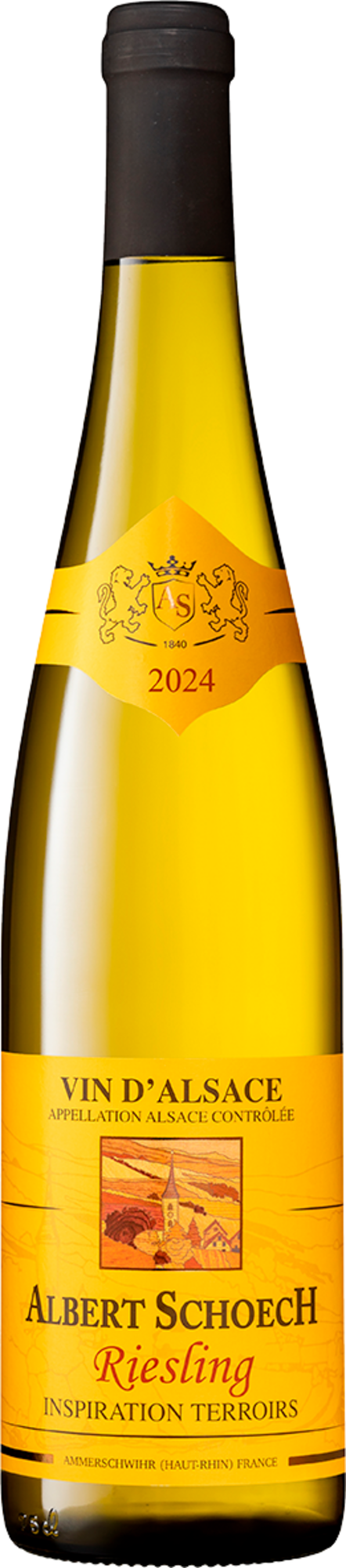 AOP ALSACE RIESLING  BLANC SEC  - ALBERT SCHOECH "INSPIRATION TERROIRS" 2024