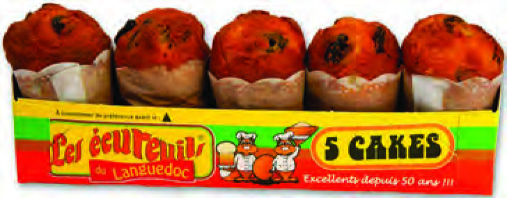 MINI CAKE AUX RAISINS X5