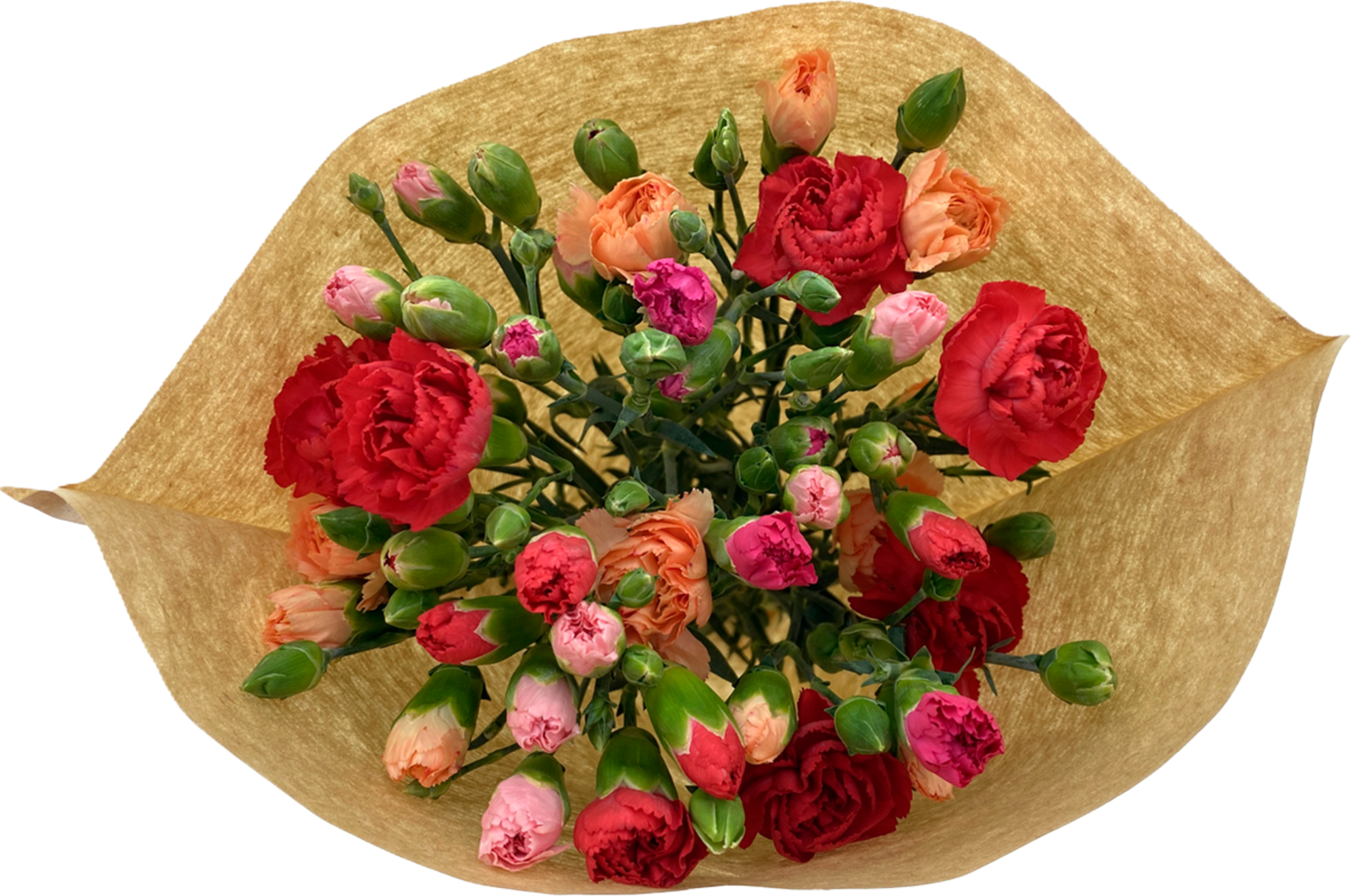 Bouquet 12 mini-oeillets arlequin Max Havelaar