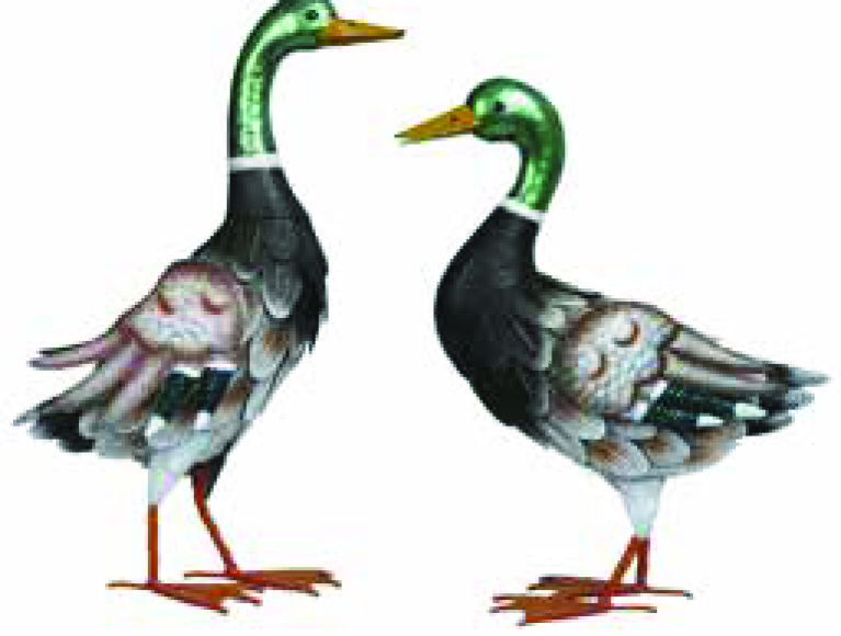 CANARDS DE DECORATION