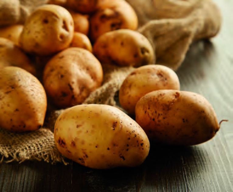 POMME DE TERRE NOUVELLE