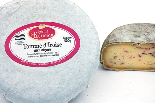 TOMME D’IROISE AUX ALGUES
