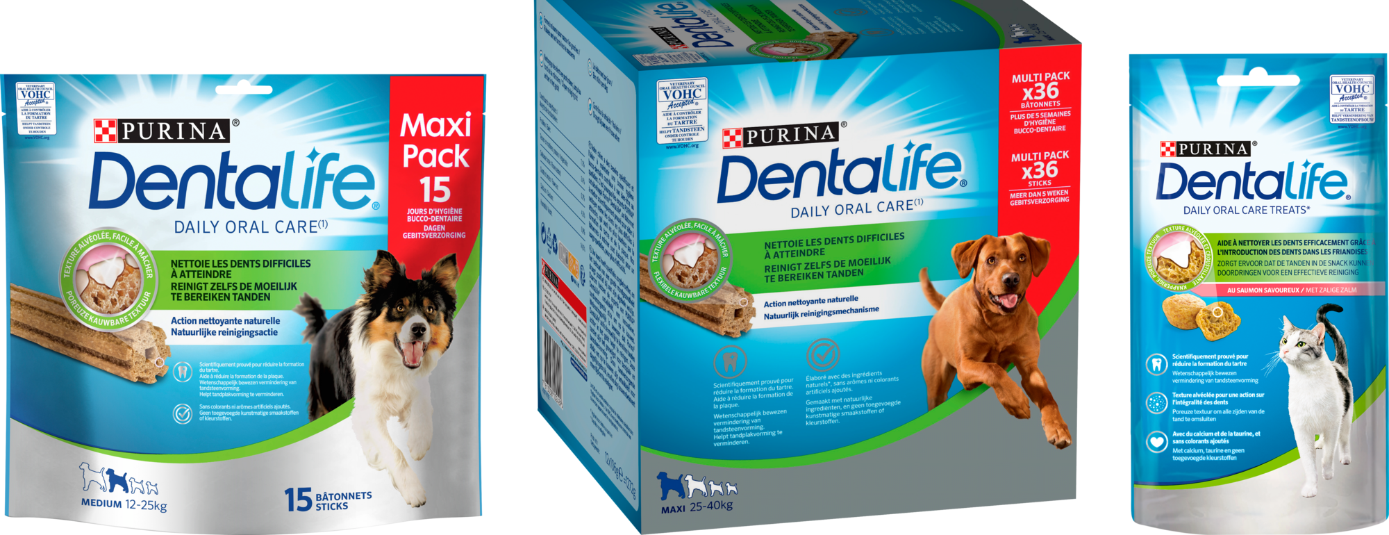 SUR LES PRODUITS PRÉSENTS EN MAGASIN DE LA GAMME "DENTALIFE"