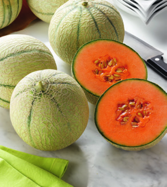 MELON