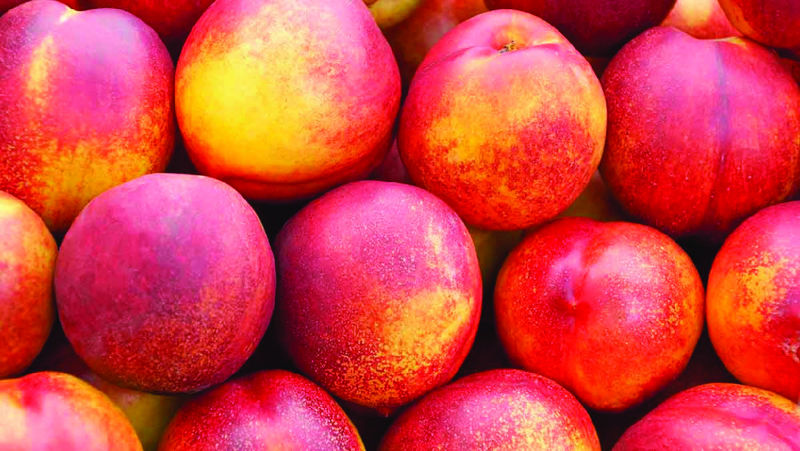 NECTARINE JAUNE OU BLANCHE