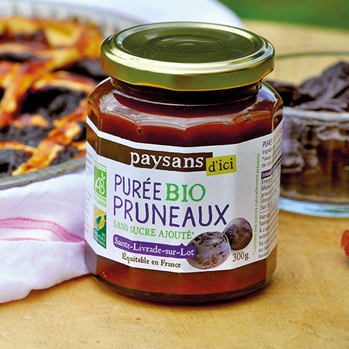 PURÉE DE PRUNEAUX BIO