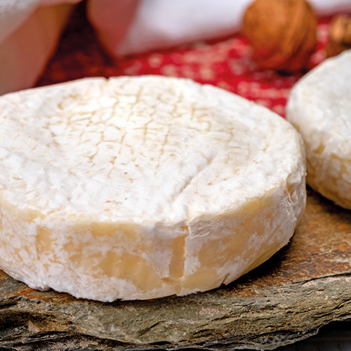 PALET DE CHÈVRE BIO