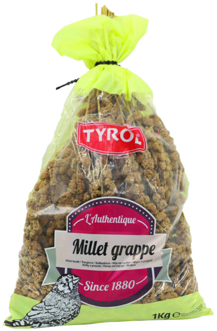 MILLET EN GRAPPES