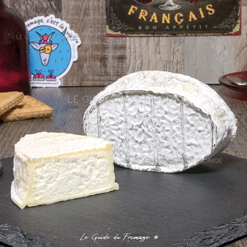 LE XV DU PIC FERMIER