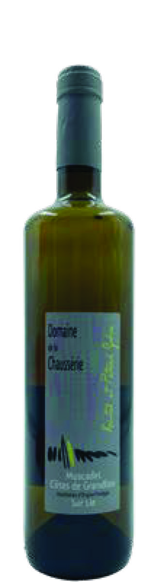 MUSCADET CÔTES DE GRANDLIEU 
