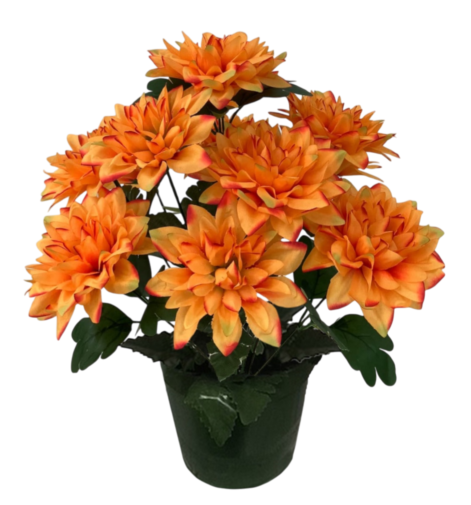 POT DRILL AVEC DAHLIAS