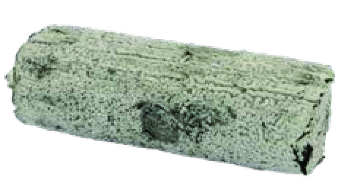 OLÉBON 1/2 AFFINÉ MI CHÈVRE-MI VACHE