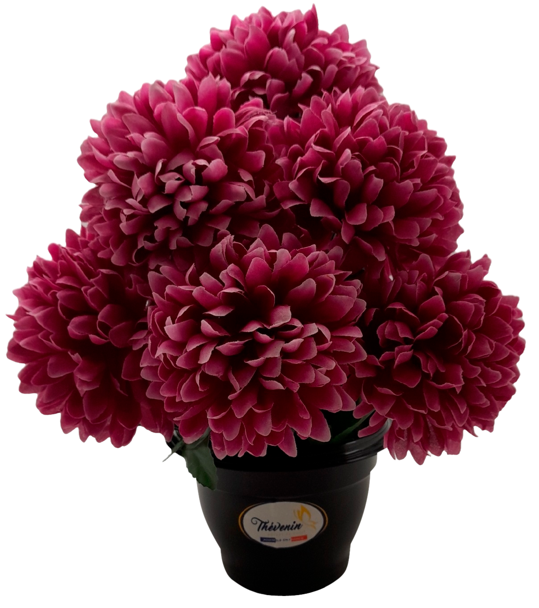 POT DE CHRYSANTHEME 9 TETES