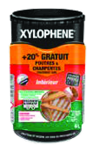 TRAITEMENT BOISERIES INTÉRIEURES POUTRES ET CHARPENTES(5)