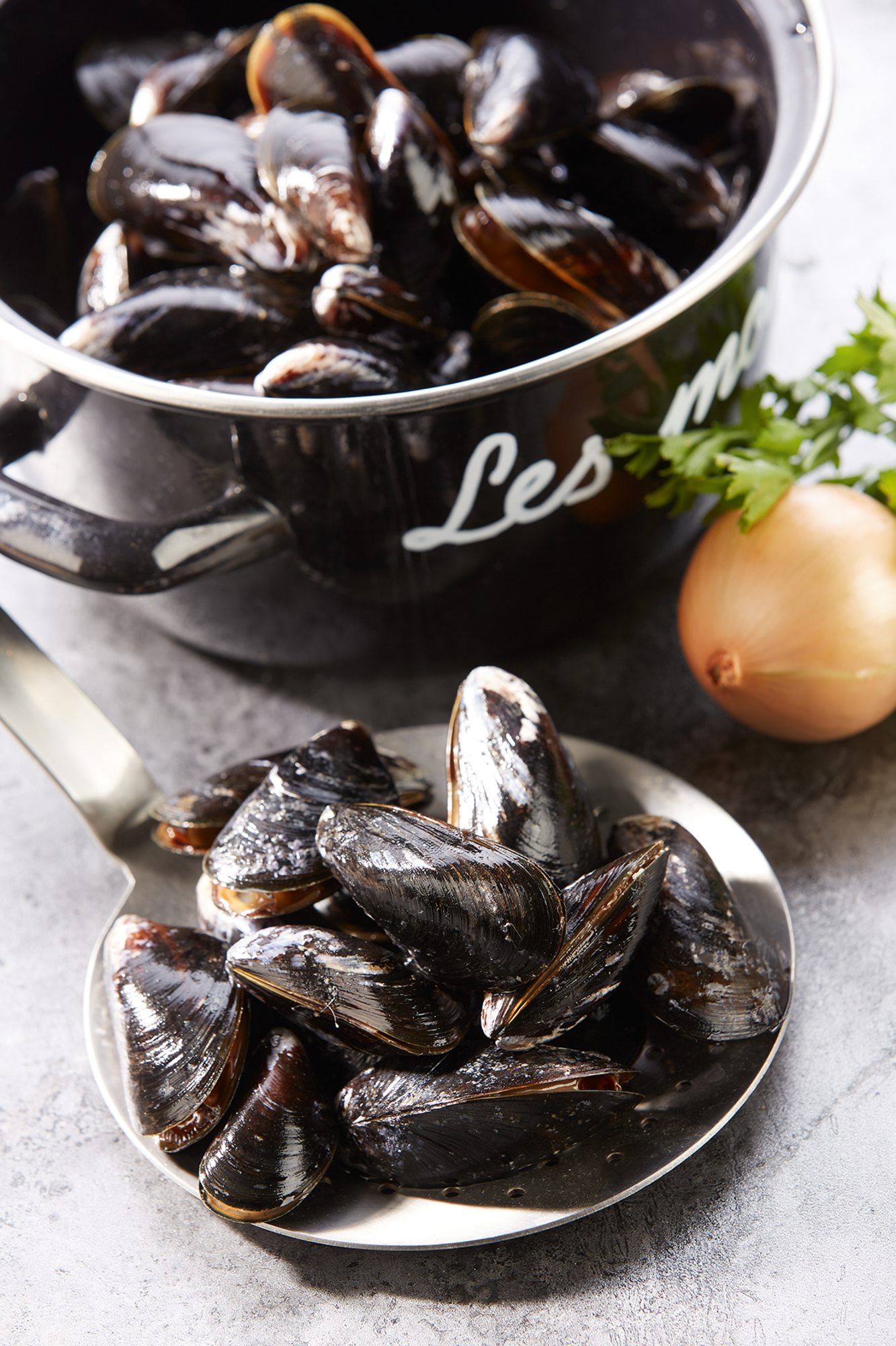 Moules de Hollande 