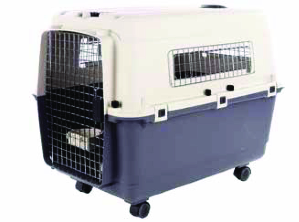 CAISSE DE TRANSPORT POUR CHIEN