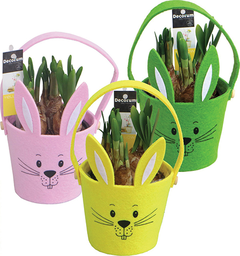 COMPOSITION AVEC NARCISSES
DANS POT FORME LAPIN