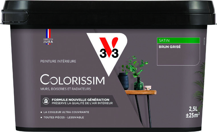 PEINTURE INTÉRIEUR (1)