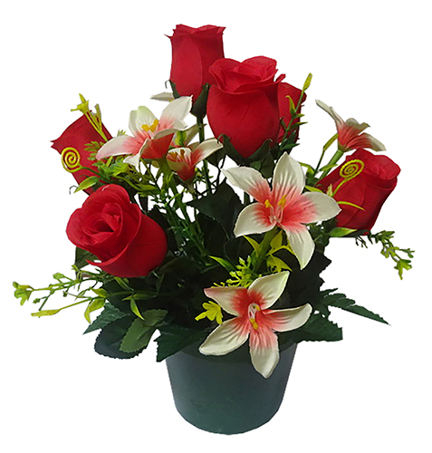 Pot ASTRIDE 
(Roses, Astros)