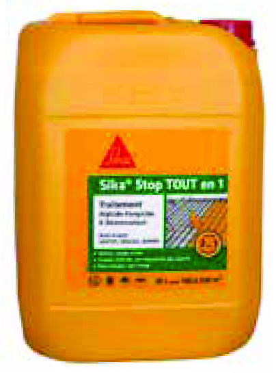 TRAITEMENT ALGICIDE FONGICIDE(4)
