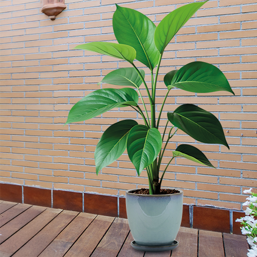 POT EN TERRE ÉMAILLÉ À PARTIR DE GRIS-BLEU