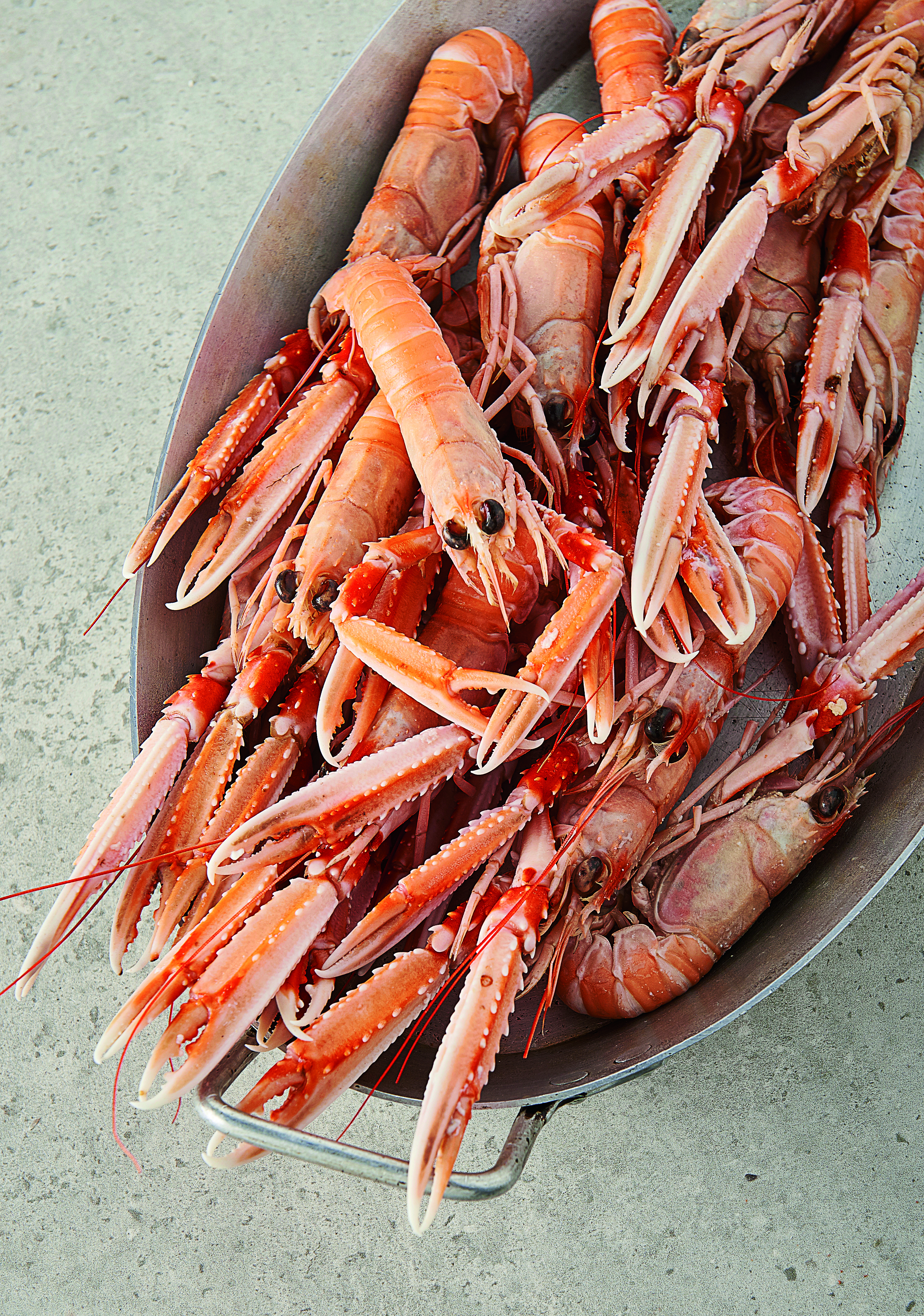 LANGOUSTINES