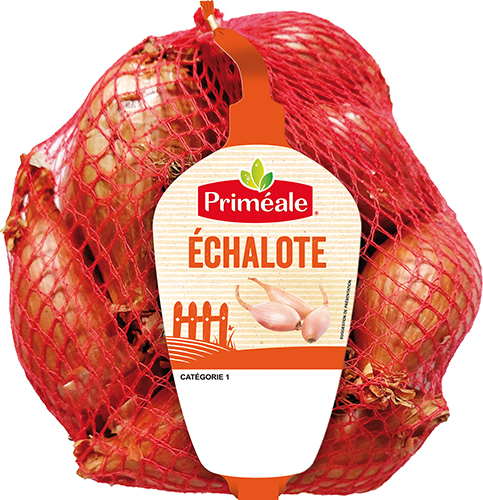 ÉCHALOTE