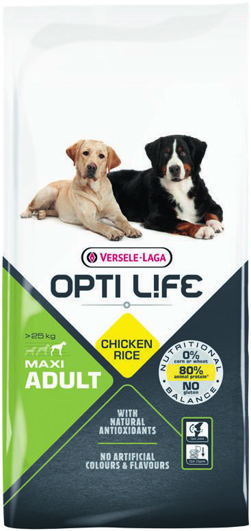CROQUETTES GRAND CHIEN