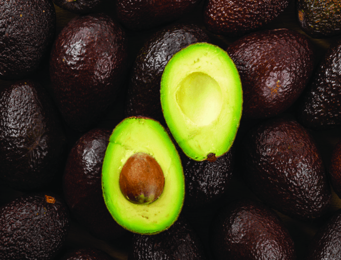 AVOCAT