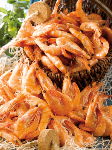 CREVETTES CUITES