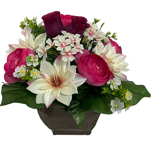 Octo ROMANA
(Renoncules,lotus)