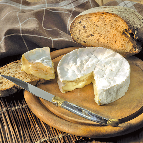 CAMEMBERT DE NORMANDIE AOP 22% DE MAT.GR.