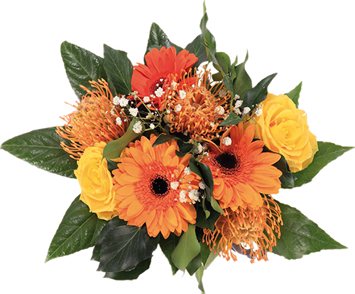 BOUQUET BULLE CABASSE