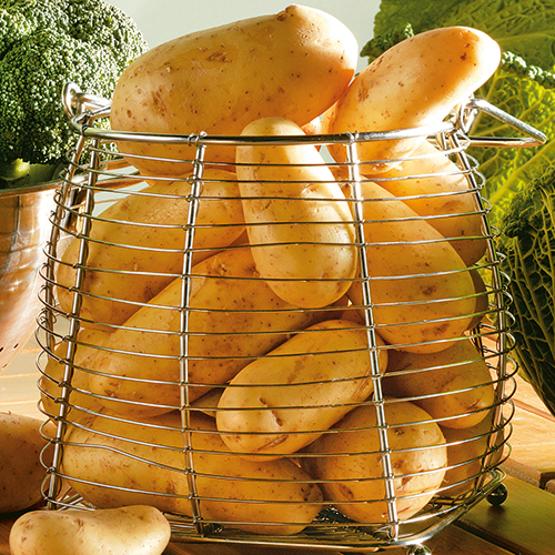 POMMES DE TERRE PRIMEUR