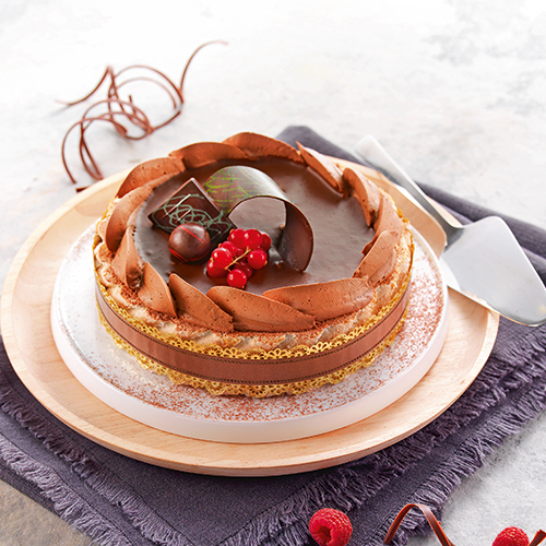 CHARLOTTE CHOCOLAT OU FRAMBOISE 8 PERSONNES