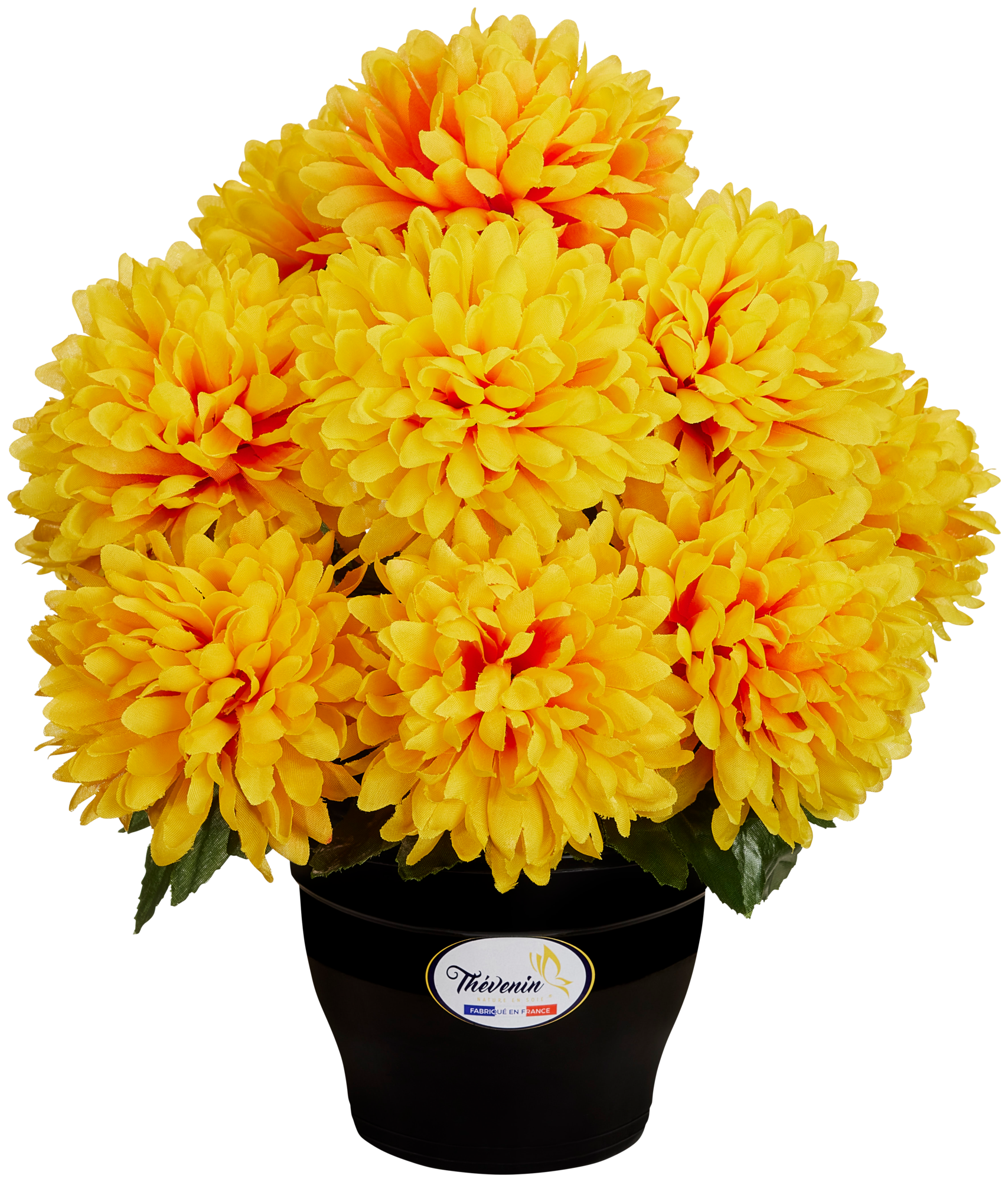 POT DE CHRYSANTHEMES 9 TÊTES