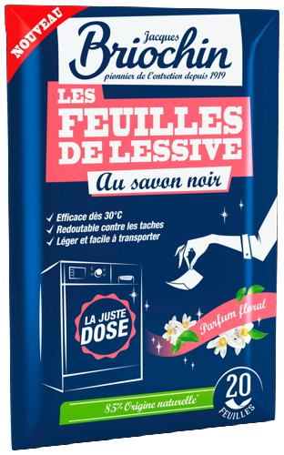 FEUILLES DE LESSIVE