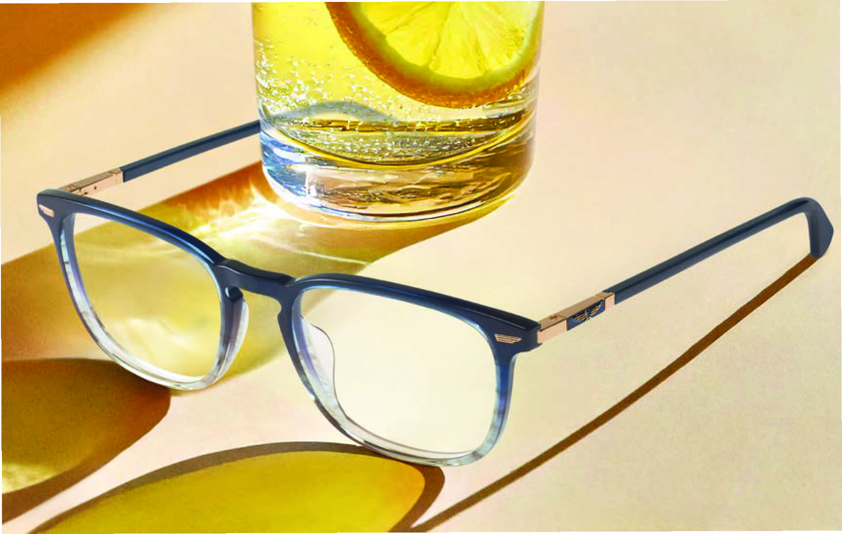 LUNETTES POLICE